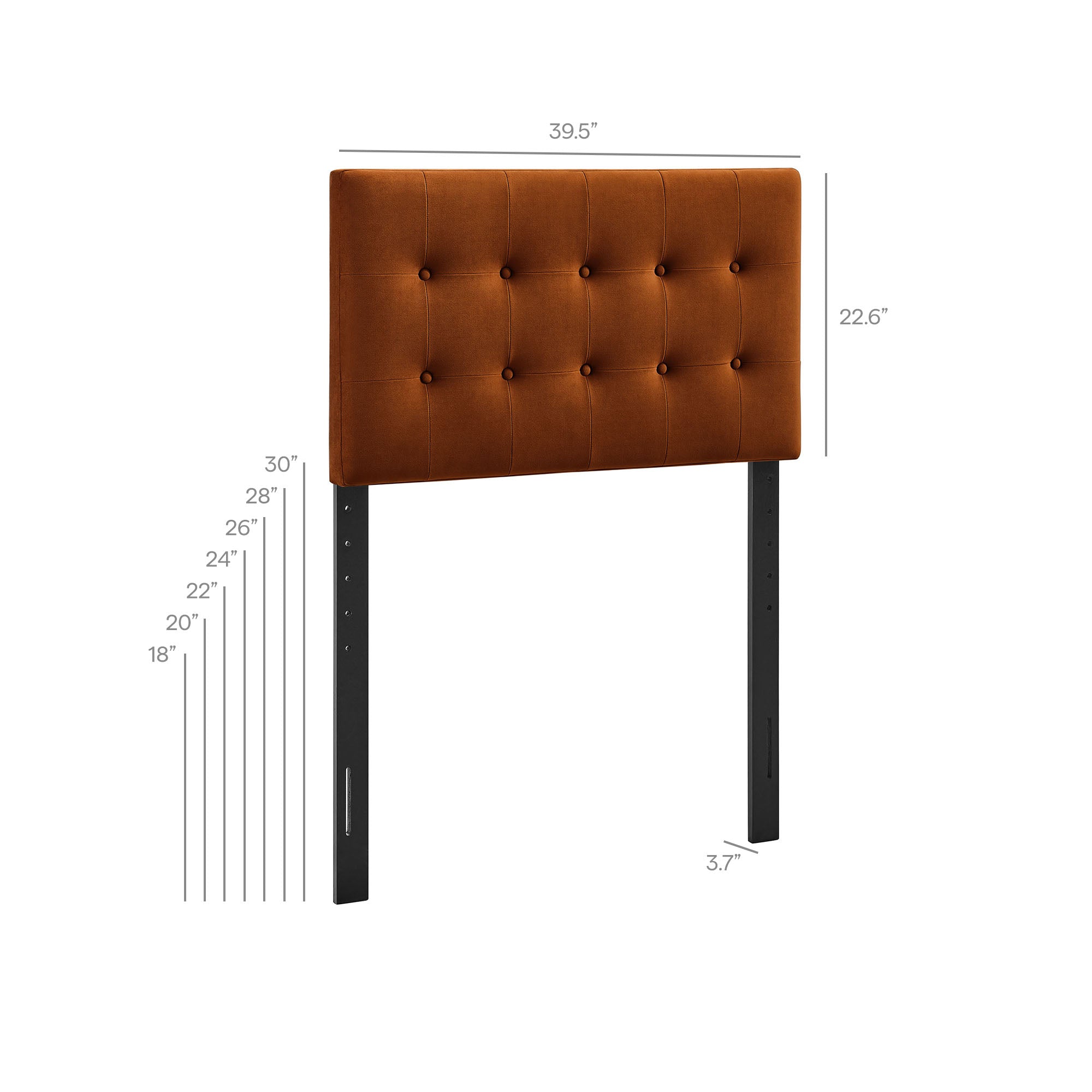Modway MOD-7280 Emily Stain-Resistant Performance Velvet Twin Size Headboard