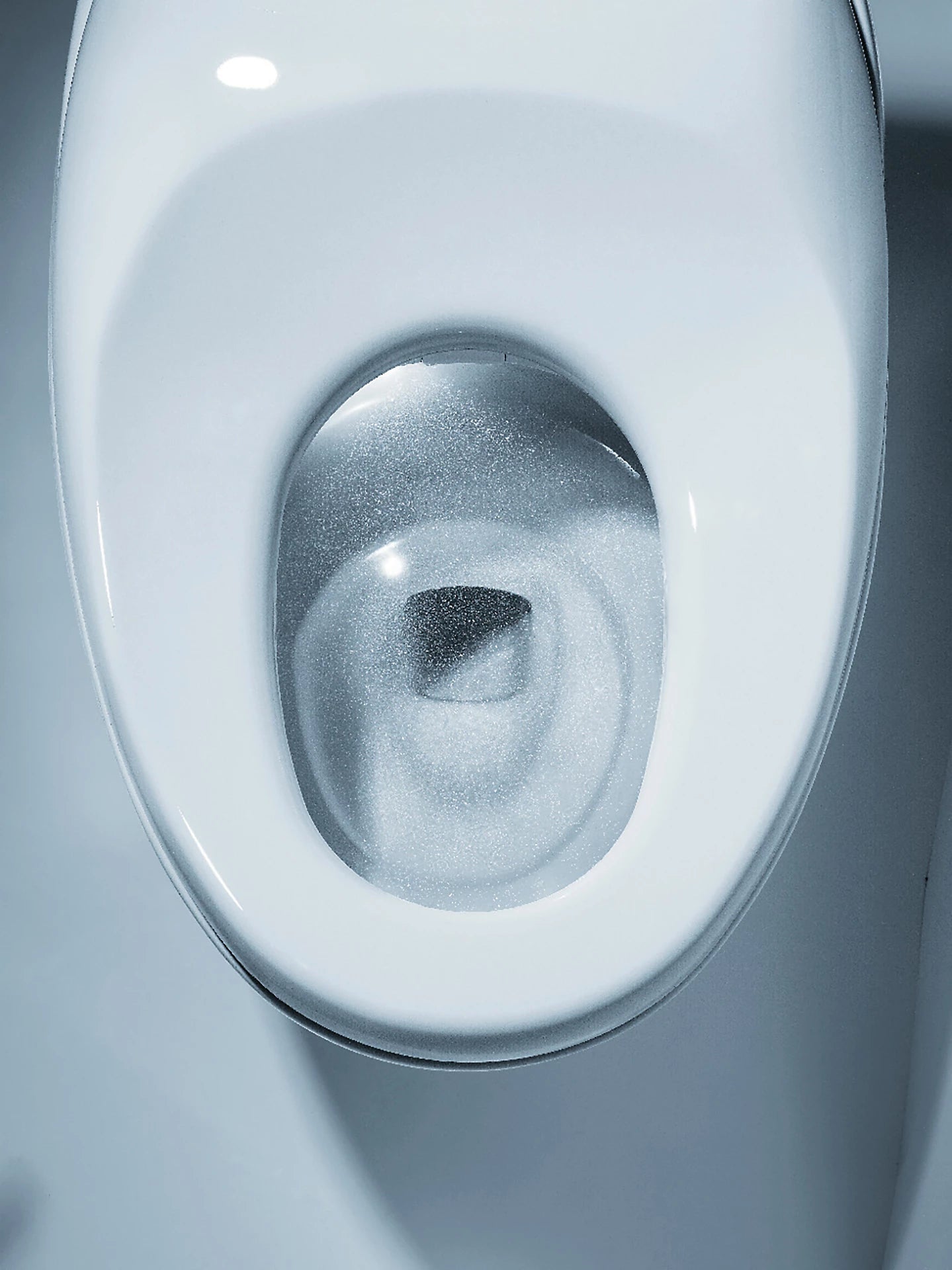 NEOREST® NX2 Dual Flush Toilet - 1.0 GPF & 0.8 GPF