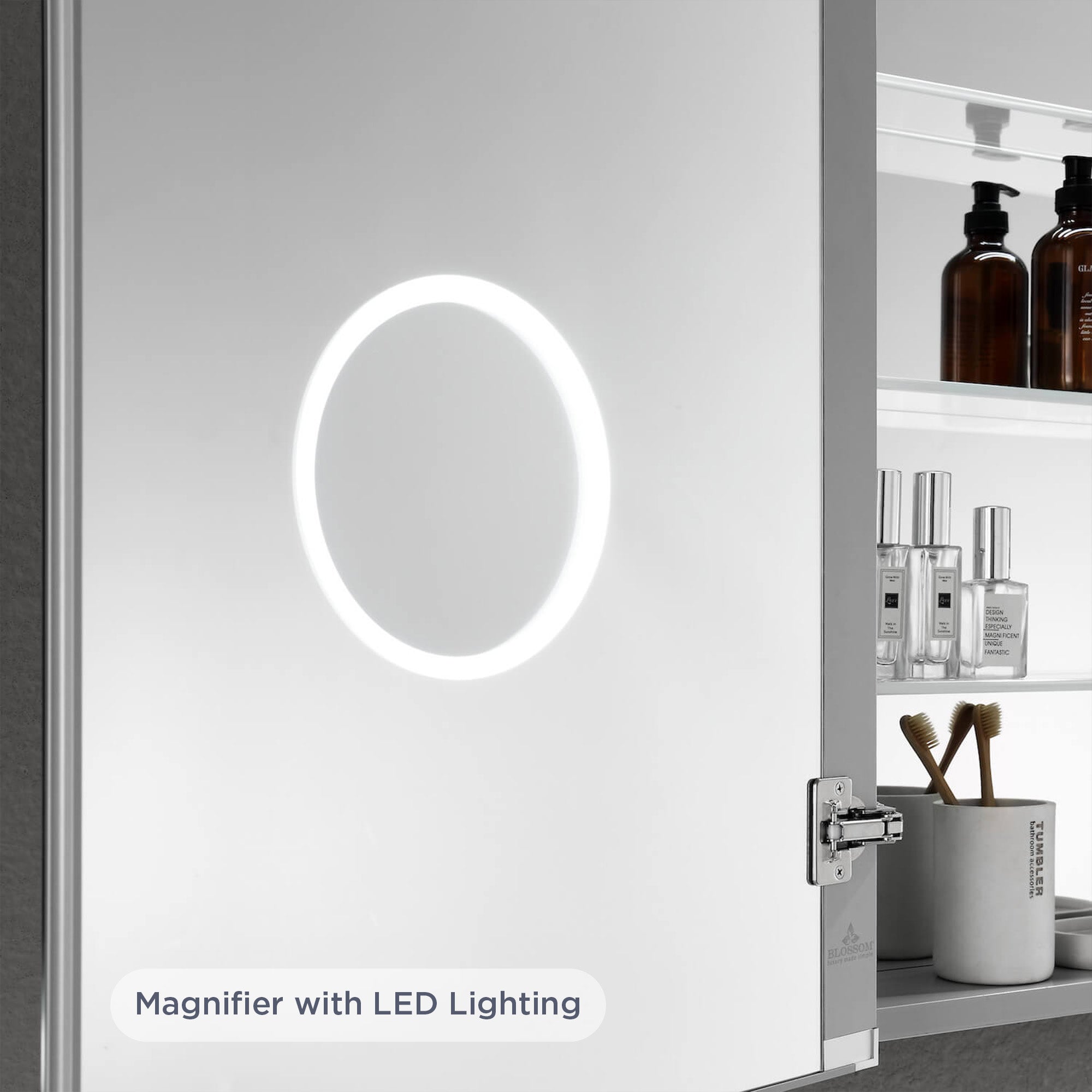 Blossom Asta Led Medicine Cabinet MCL2