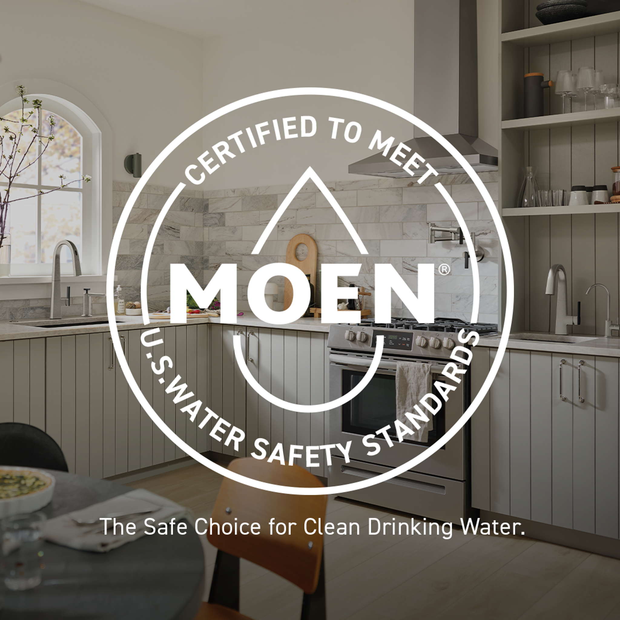 Moen F5923 Align Pre-Rinse Spring Kitchen 3 In 1 Water Filtration Faucet