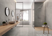 Olympus Stone