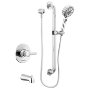 Peerless Precept® ADA tub and hand shower