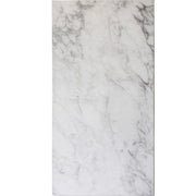 Rainer White Porcelain Tile 12x24