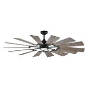 Prairie 62" LED Ceiling Fan