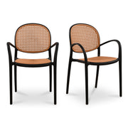 Moes Soren Outdoor Dining Chair Black-Set of Two QX-1003-02
