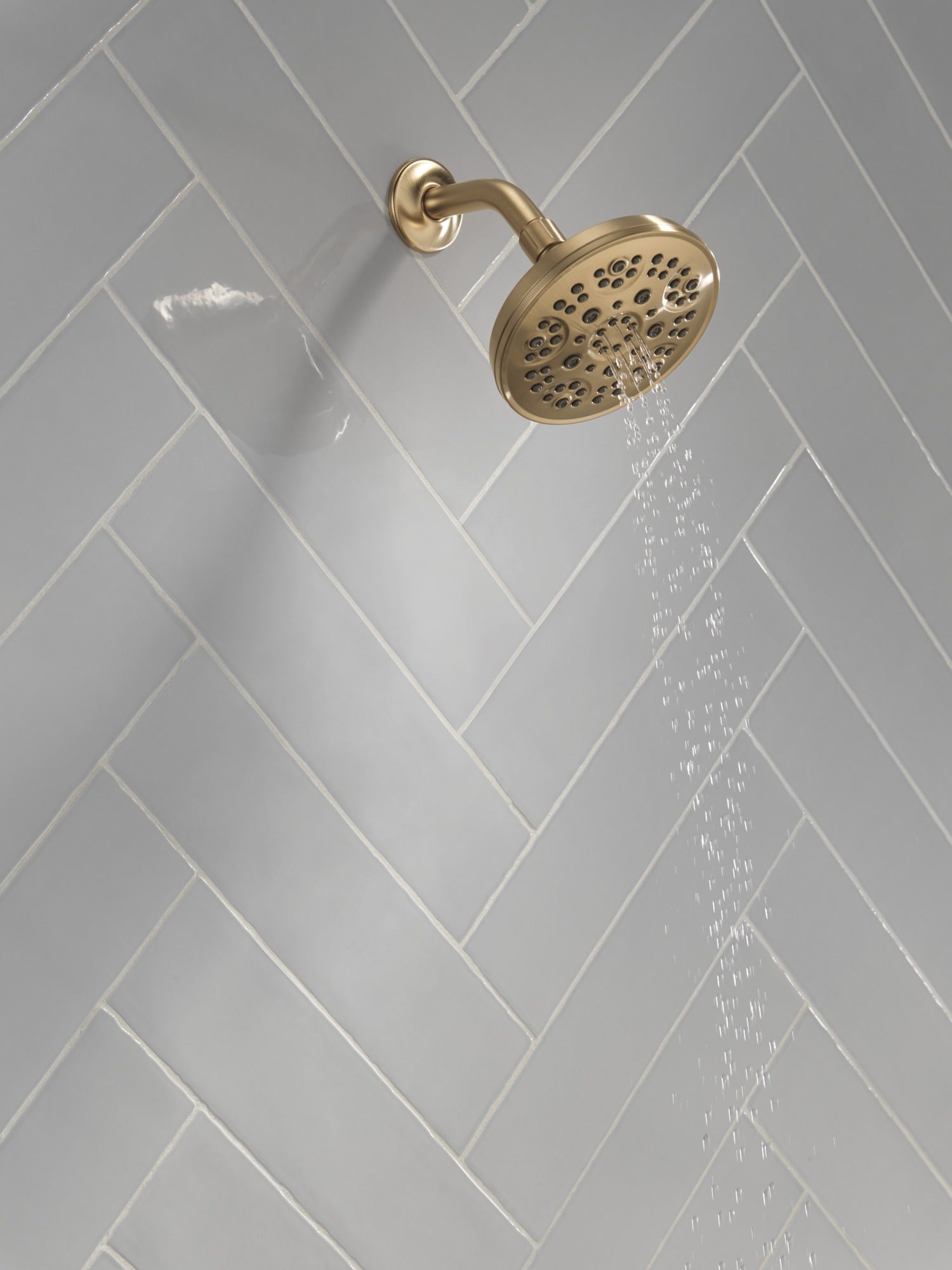 Delta Universal Showering Components Fixed 5-Setting Showerhead