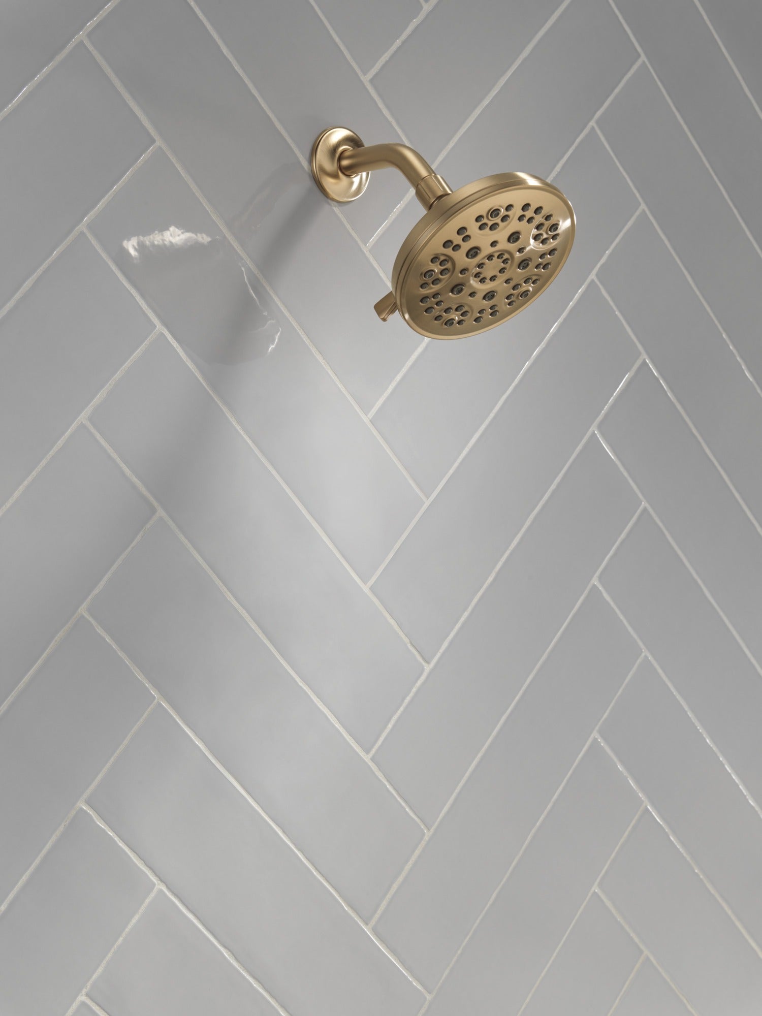 Delta Universal Showering Components Fixed 5-Setting Showerhead