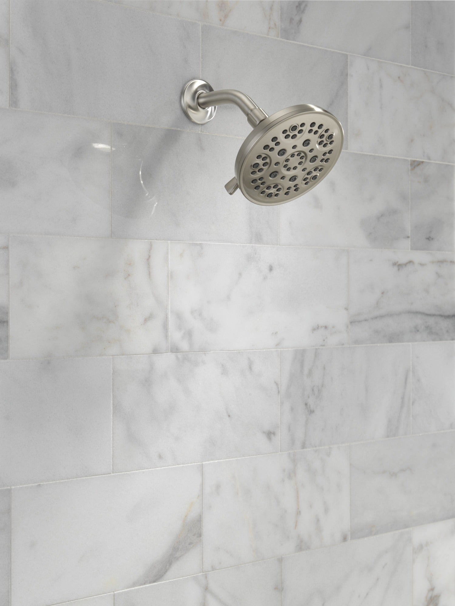 Delta Universal Showering Components Fixed 5-Setting Showerhead