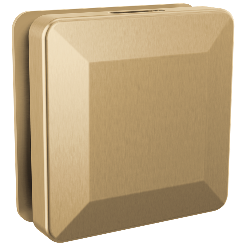 Delta Universal Showering Components Square Steam Head