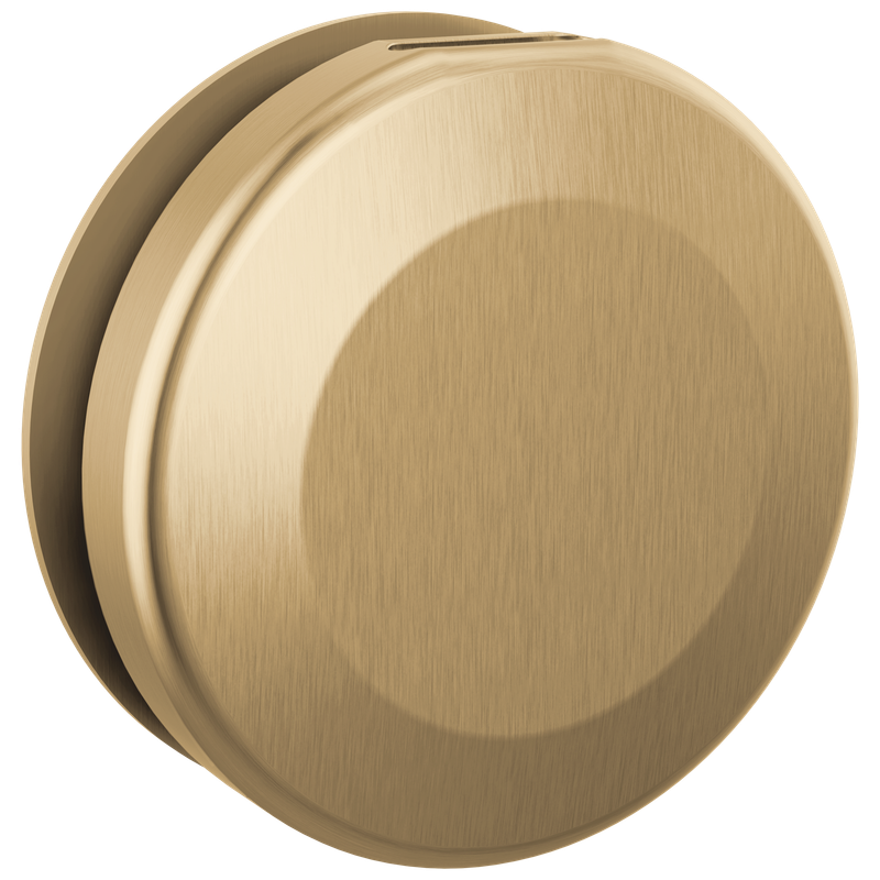 Delta Universal Showering Components Round Steam Head