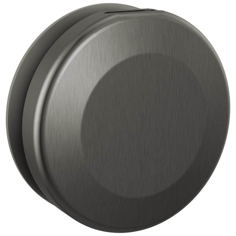 Delta Universal Showering Components Round Steam Head