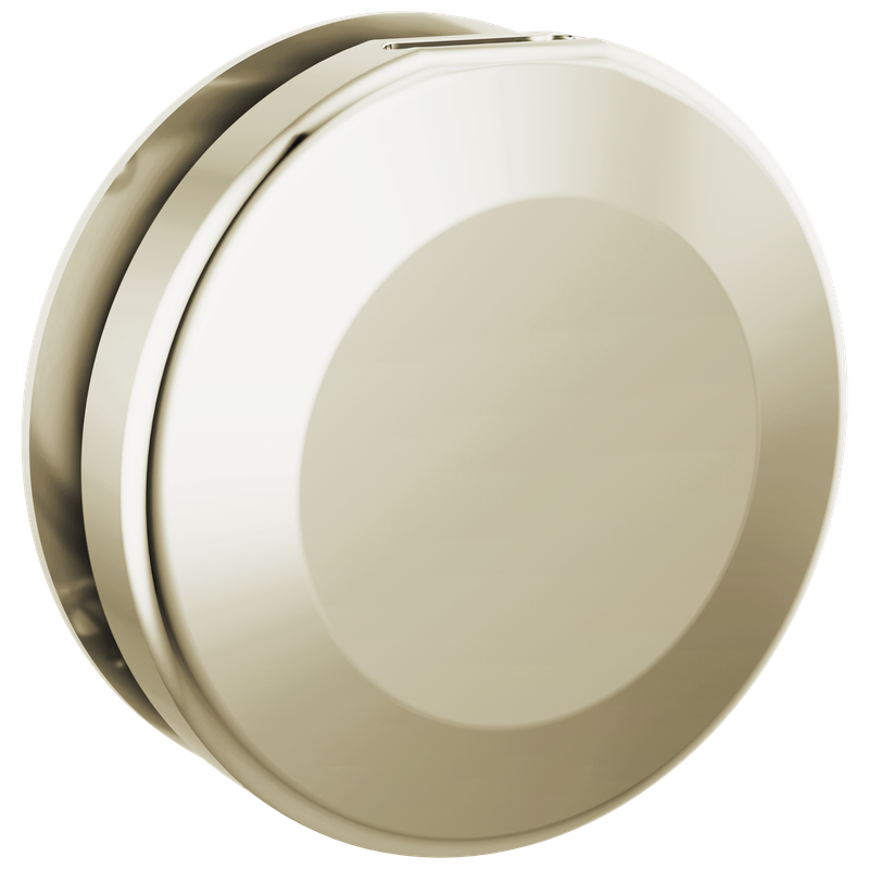 Delta Universal Showering Components Round Steam Head