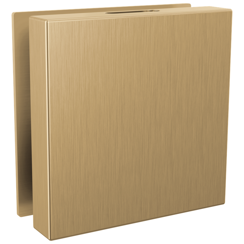 Delta Universal Showering Components Contemporary Square Steam Head