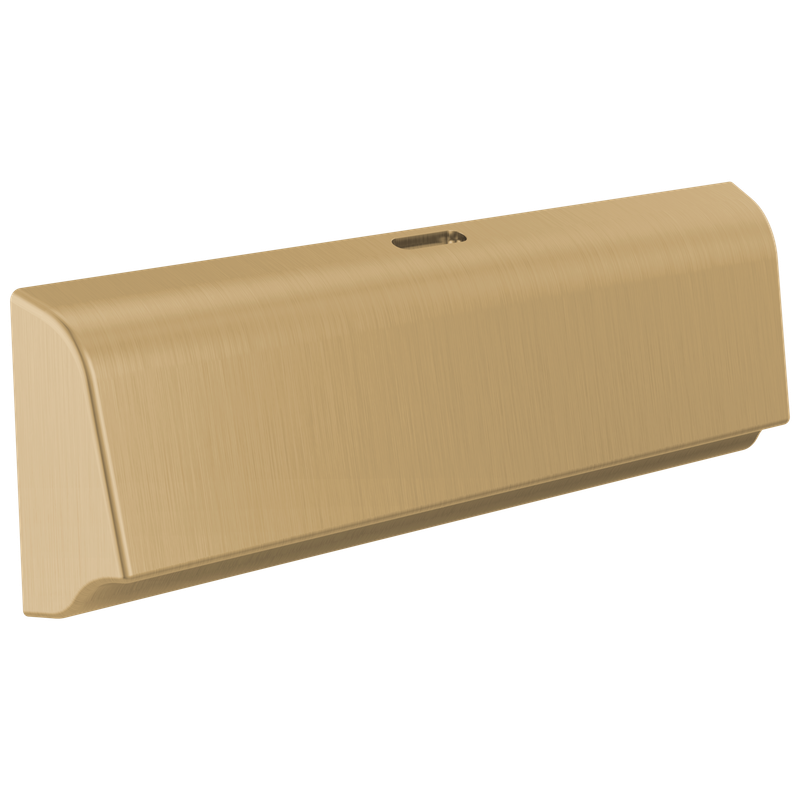 Delta Universal Showering Components Unilateral Steam Head