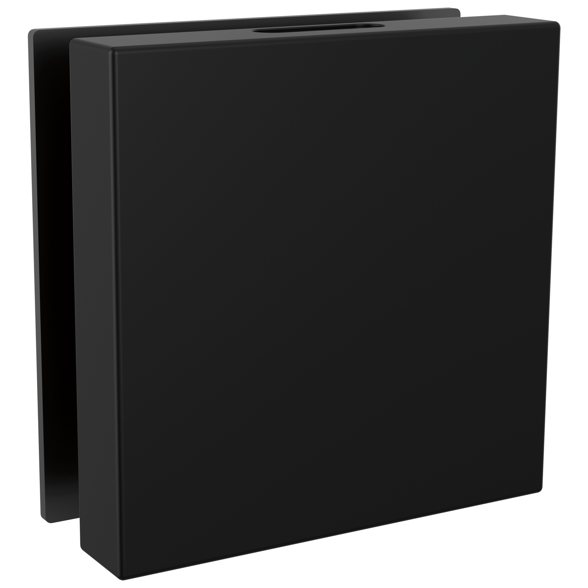 Brizo Other Mystix™ Square Steam Head