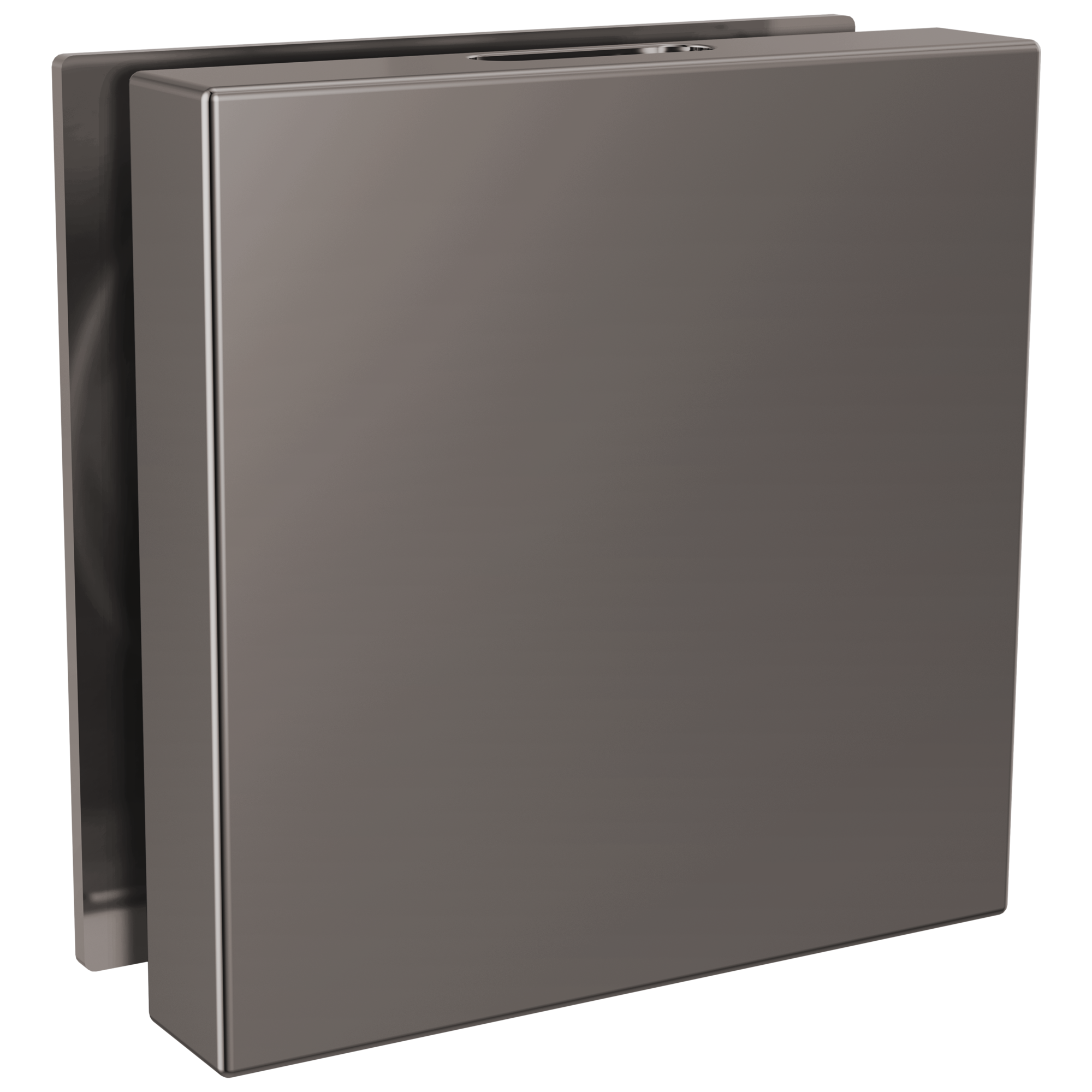 Brizo Other Mystix™ Square Steam Head