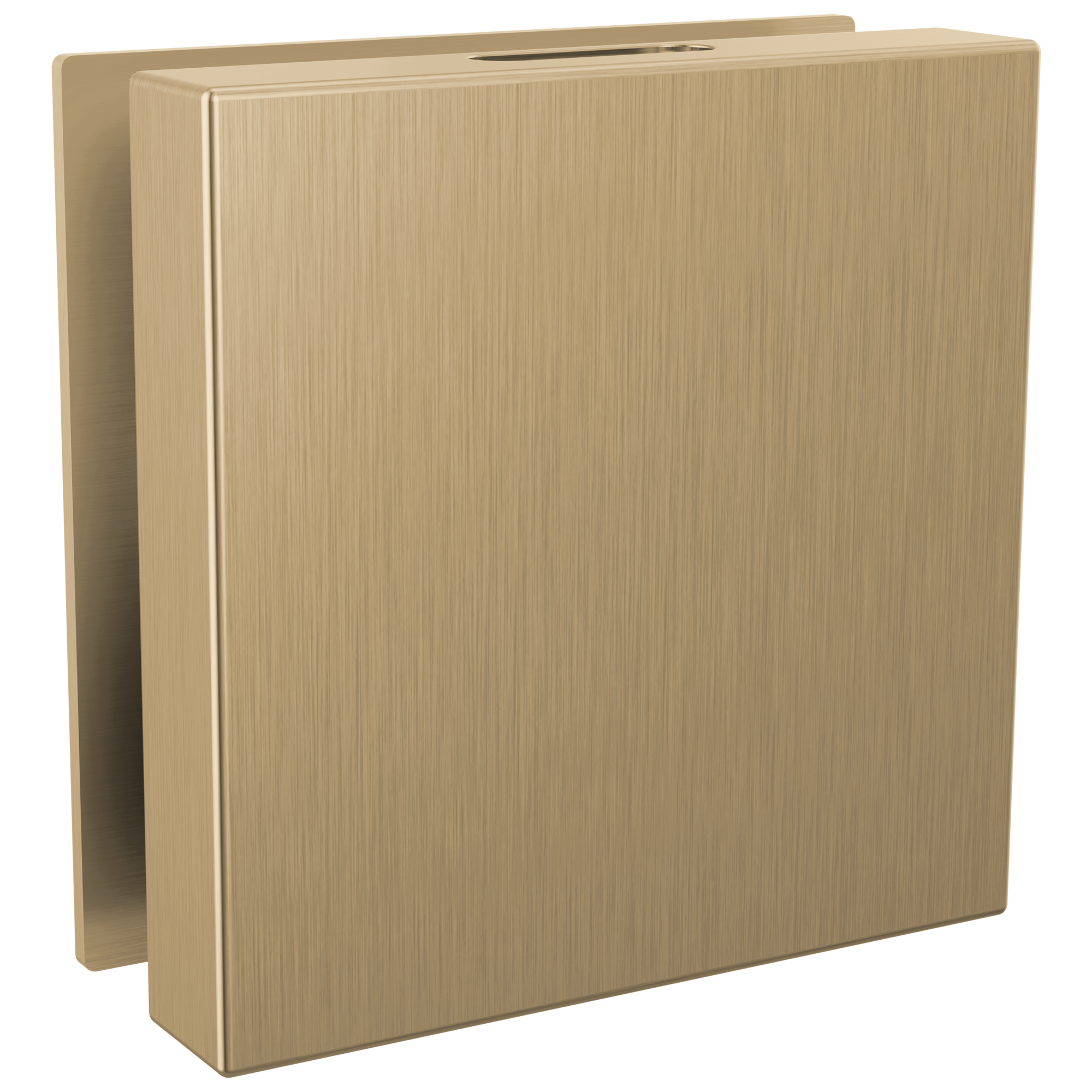 Brizo Other Mystix™ Square Steam Head