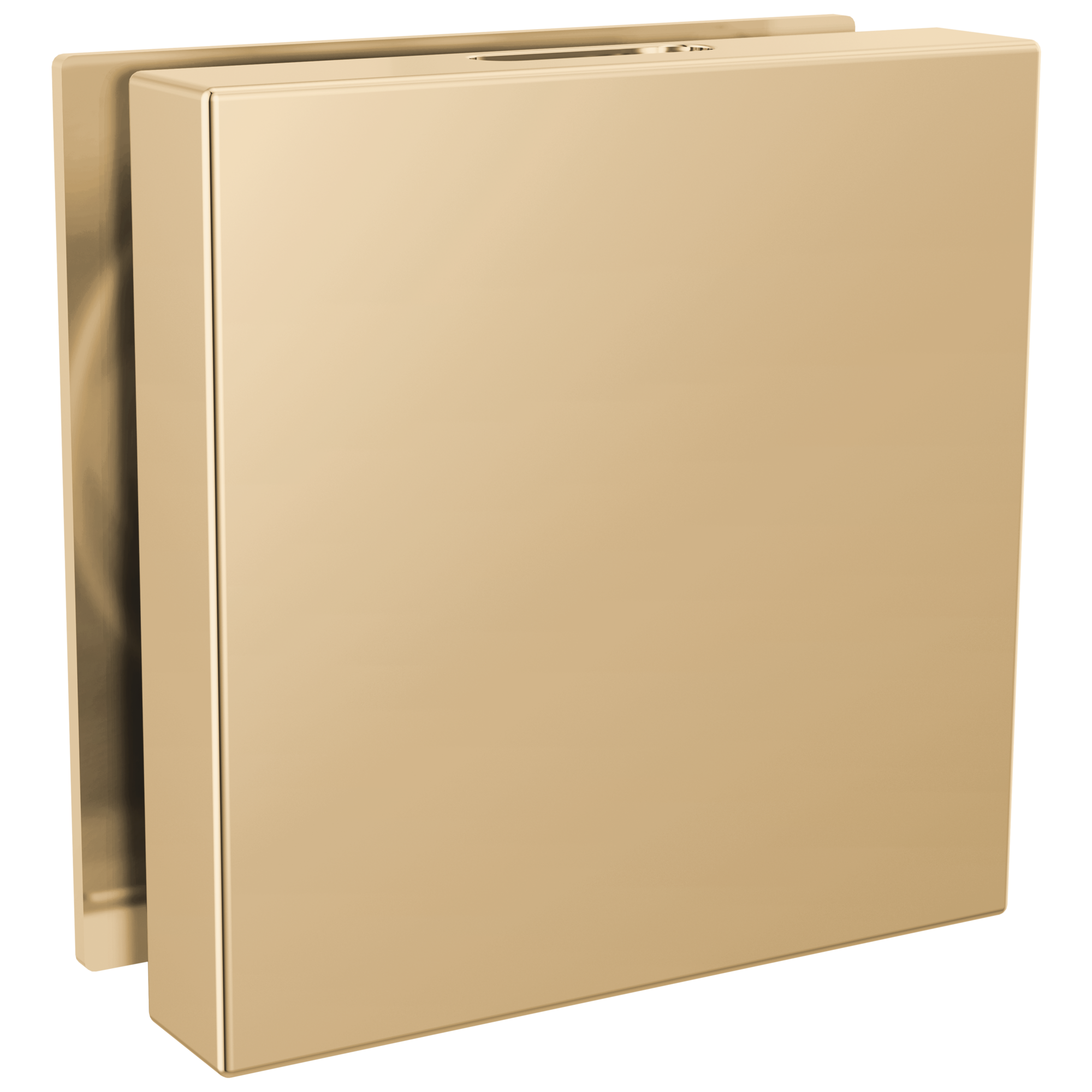 Brizo Other Mystix™ Square Steam Head