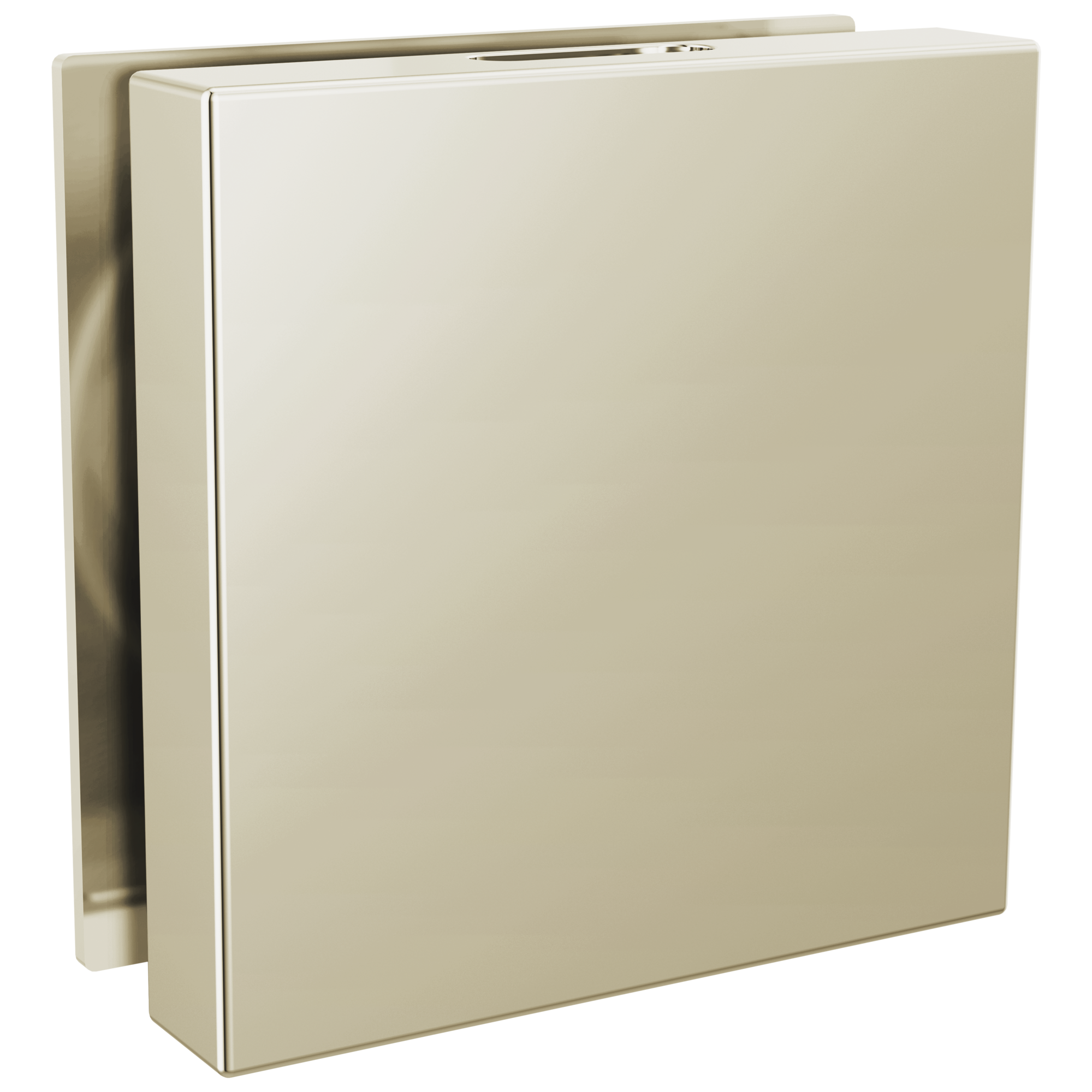 Brizo Other Mystix™ Square Steam Head