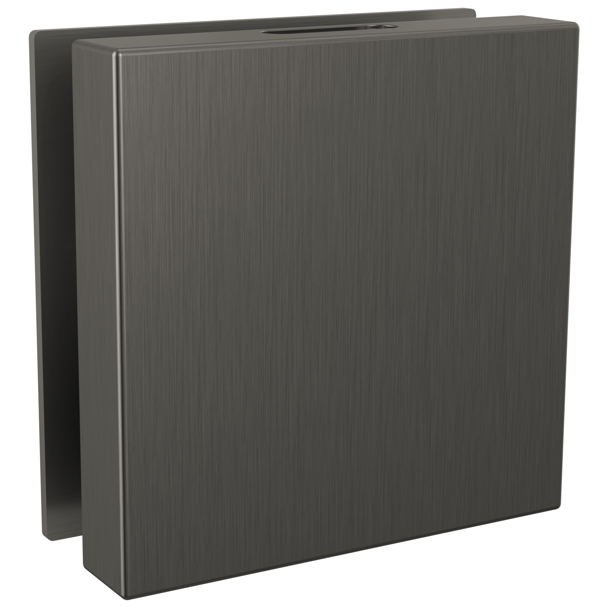 Brizo Other Mystix™ Square Steam Head