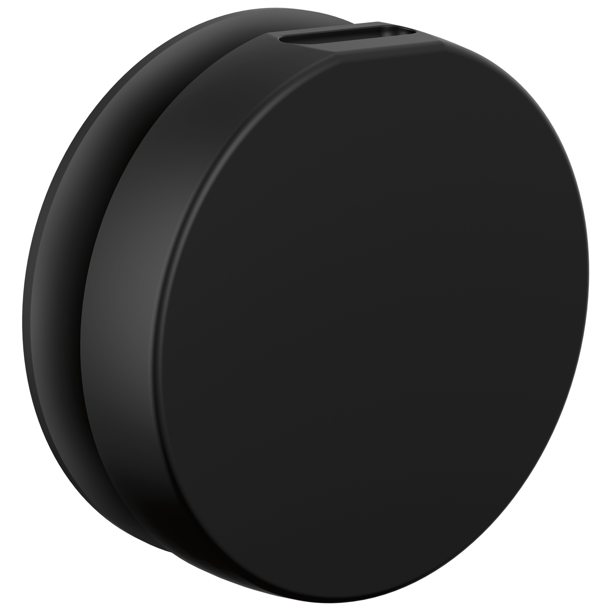 Brizo Other Mystix™ Round Steam Head
