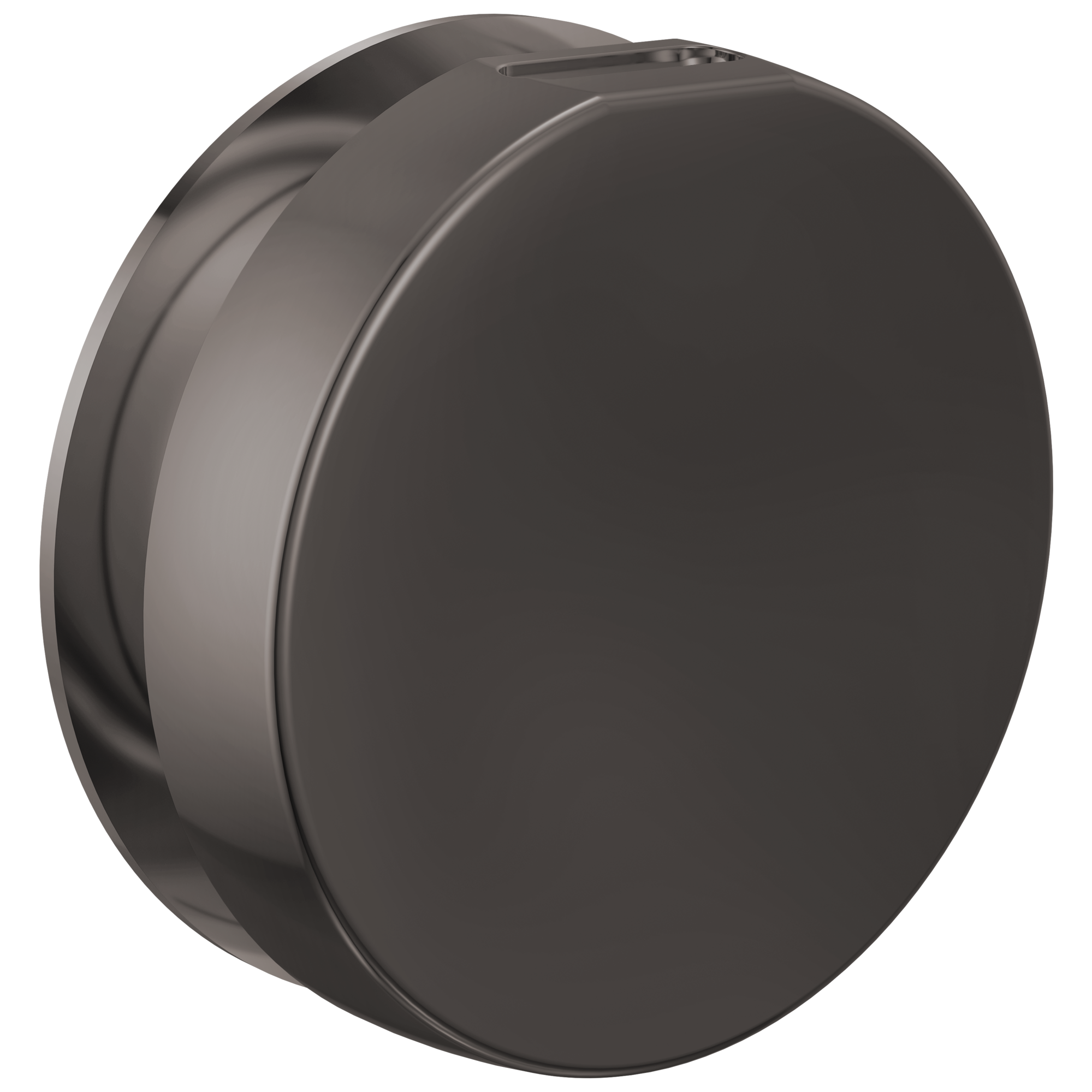 Brizo Other Mystix™ Round Steam Head
