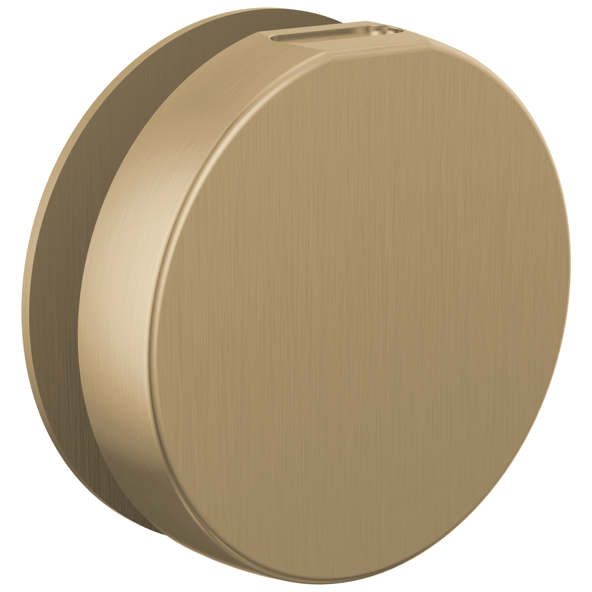 Brizo Other Mystix™ Round Steam Head