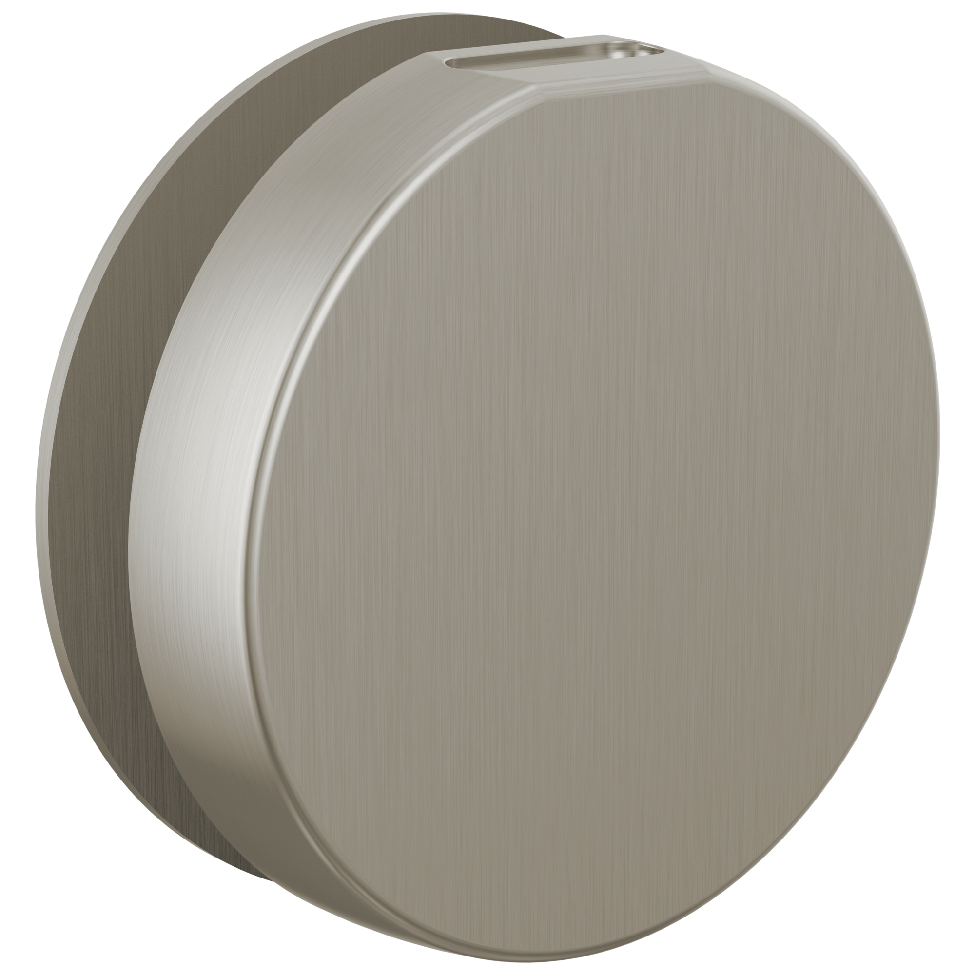 Brizo Other Mystix™ Round Steam Head