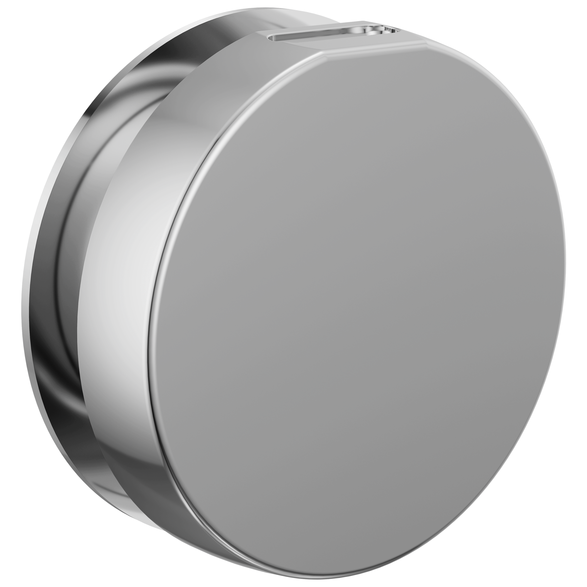 Brizo Other Mystix™ Round Steam Head