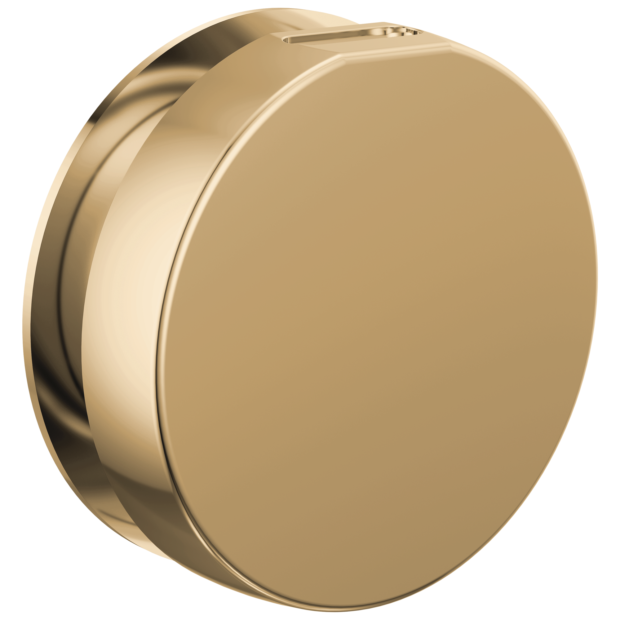 Brizo Other Mystix™ Round Steam Head