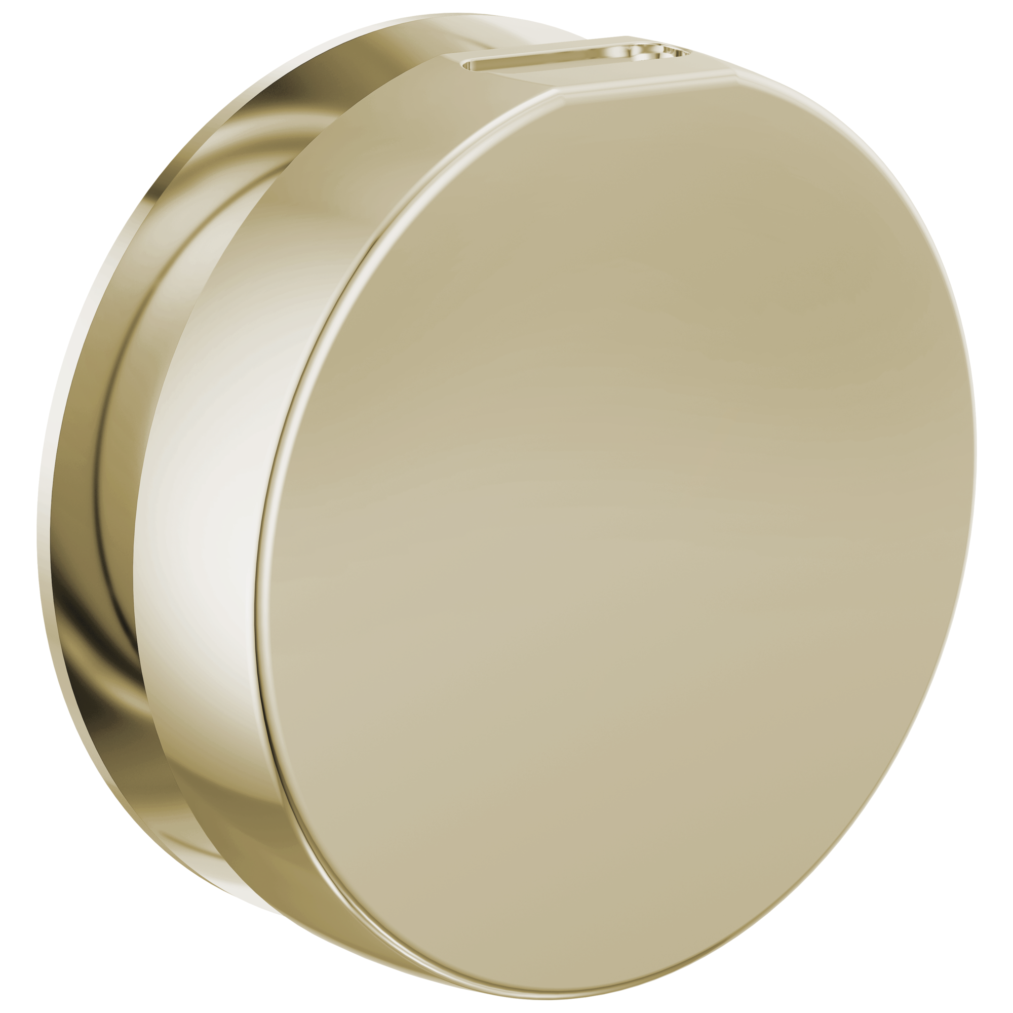 Brizo Other Mystix™ Round Steam Head