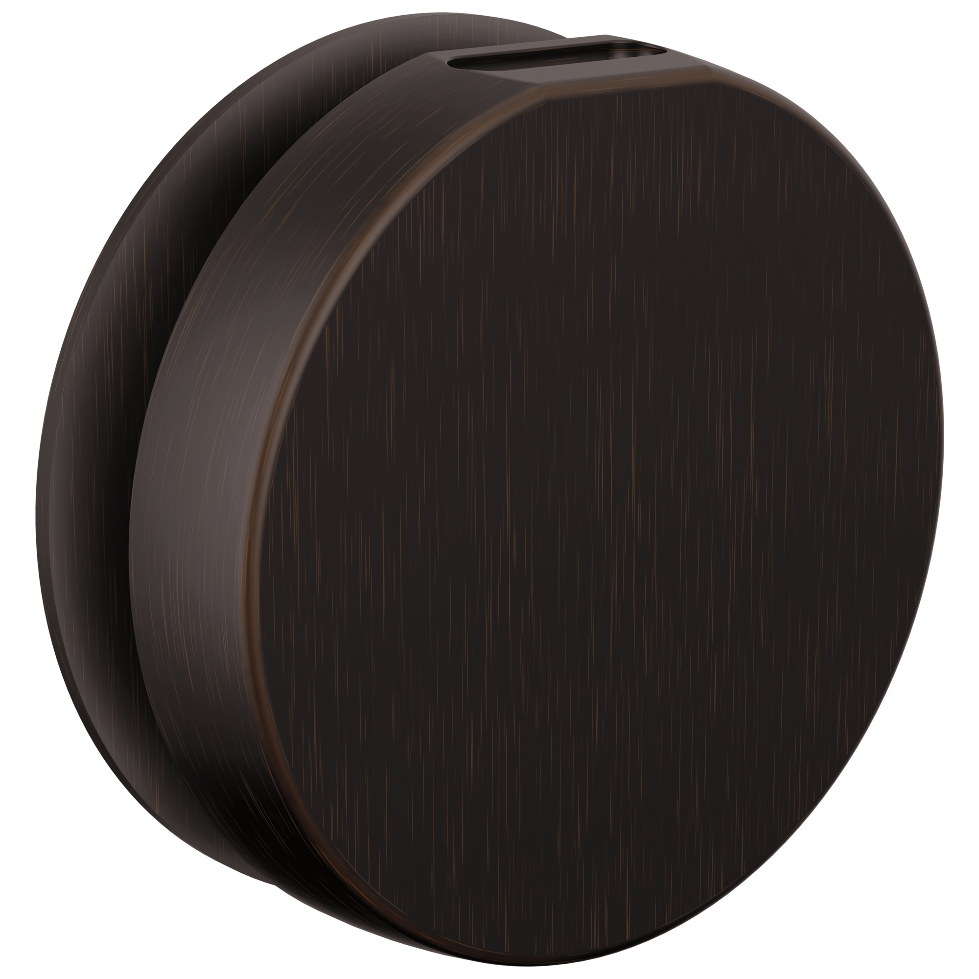 Brizo Other Mystix™ Round Steam Head