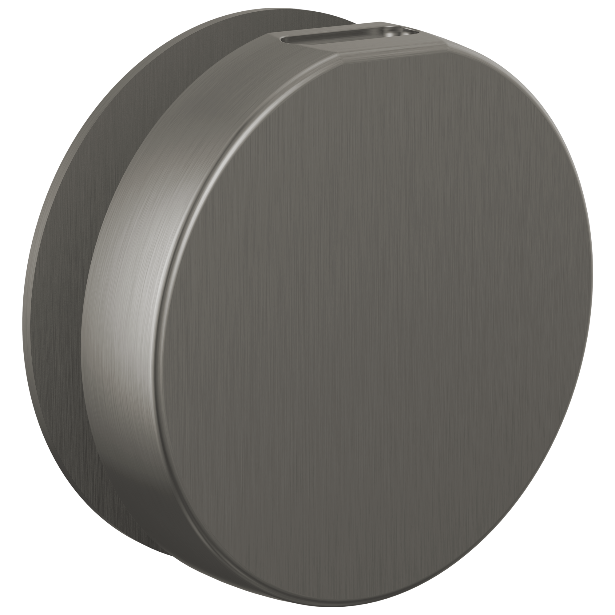 Brizo Other Mystix™ Round Steam Head
