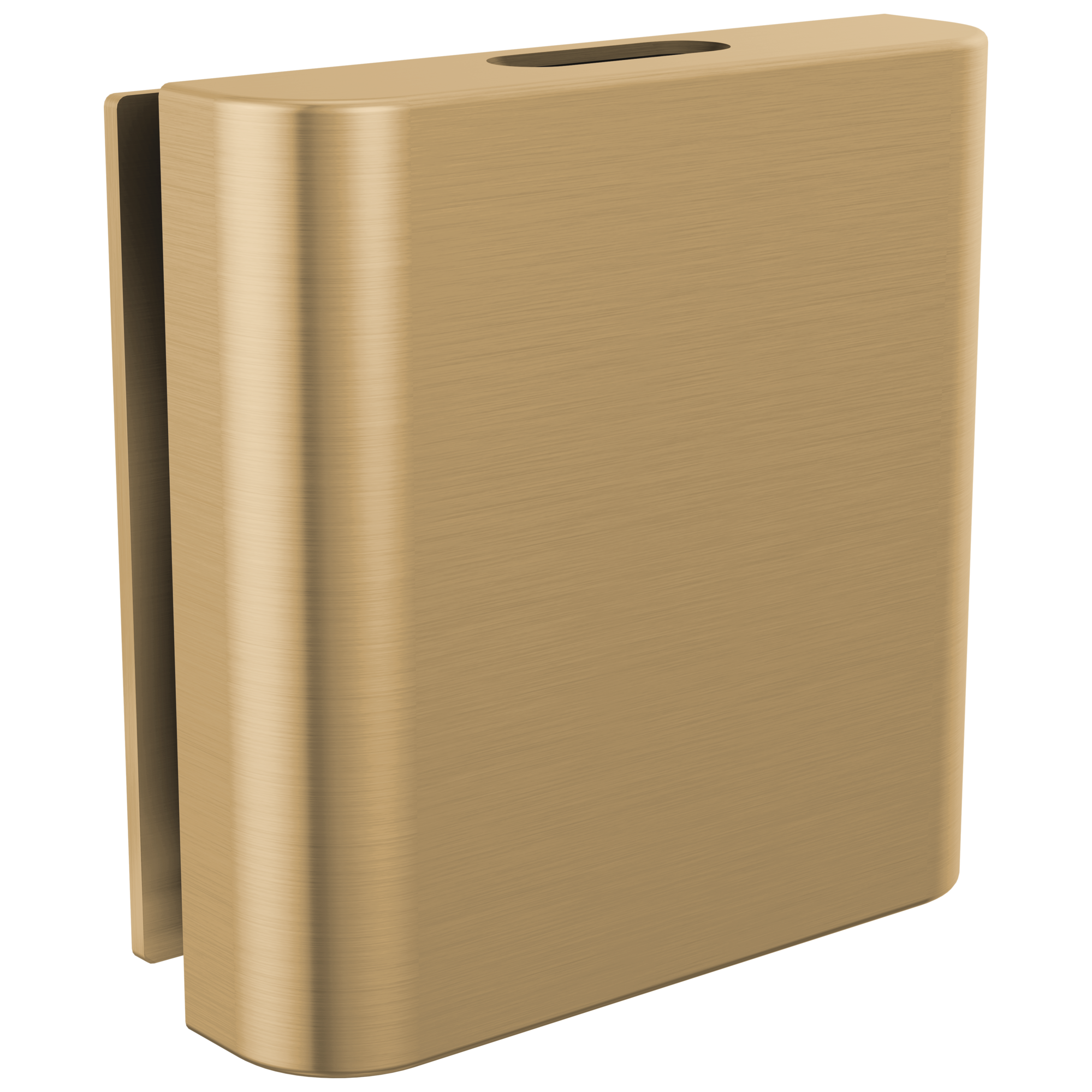 Brizo Other Mystix™ Classic Square Steam Head