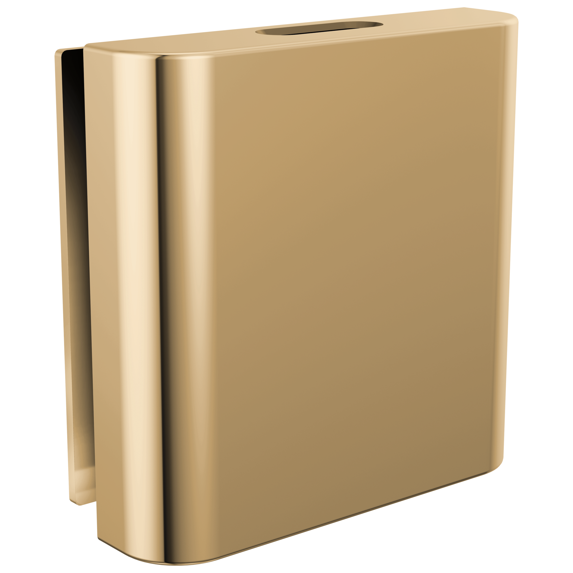 Brizo Other Mystix™ Classic Square Steam Head