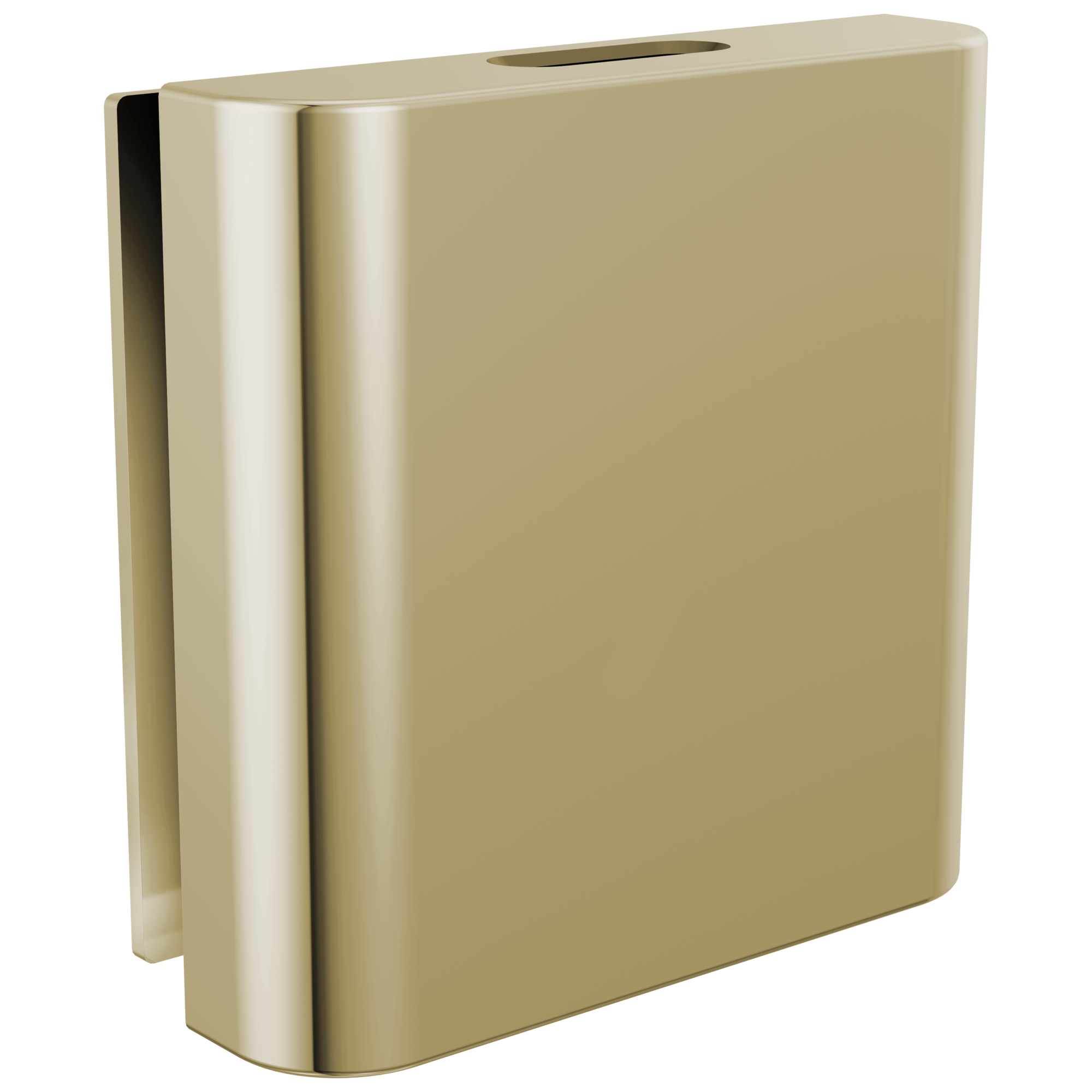 Brizo Other Mystix™ Classic Square Steam Head