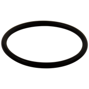 Delta Other O-Ring - Large - All Monitor® Series