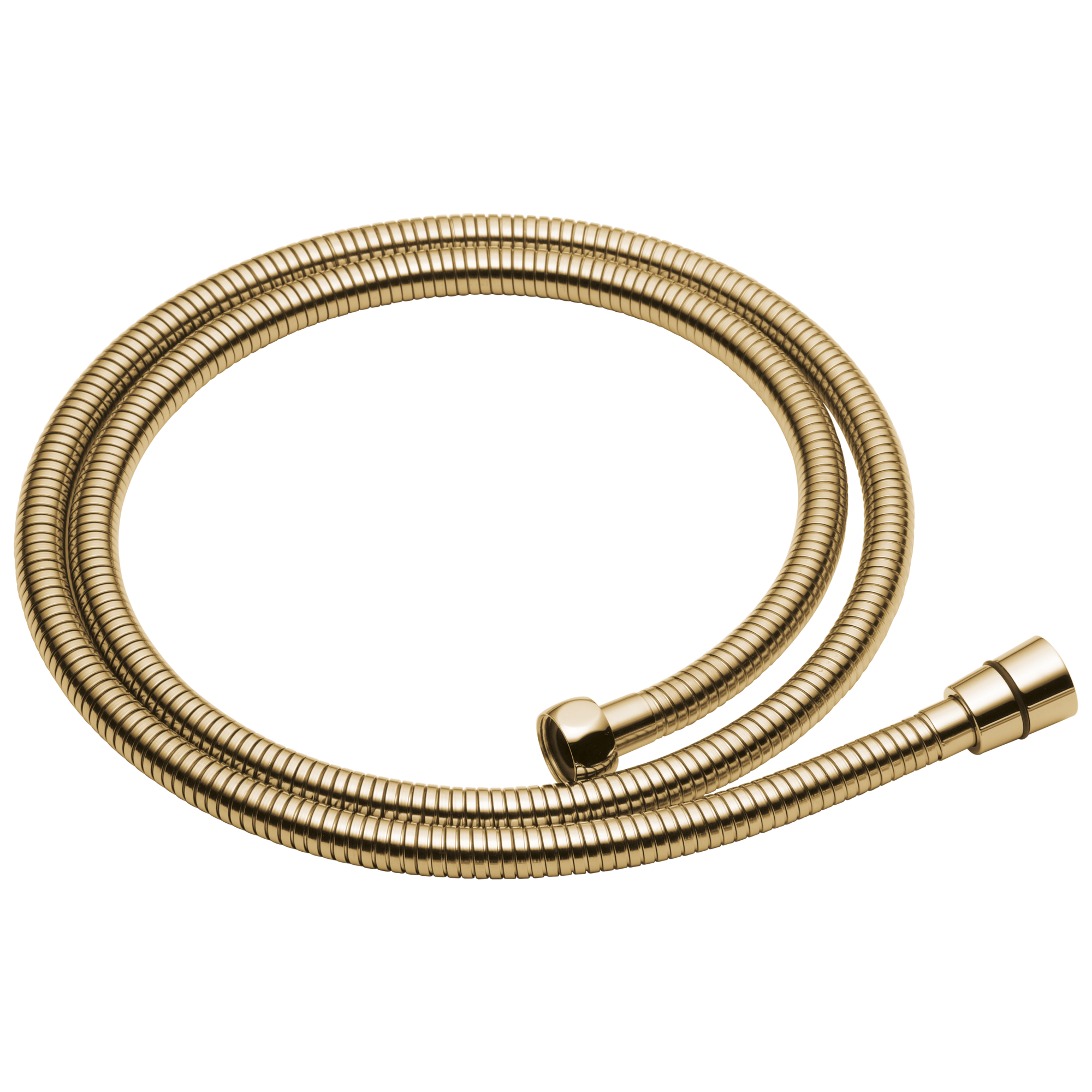 Brizo Essential™ Shower Handshower Hose And Gaskets