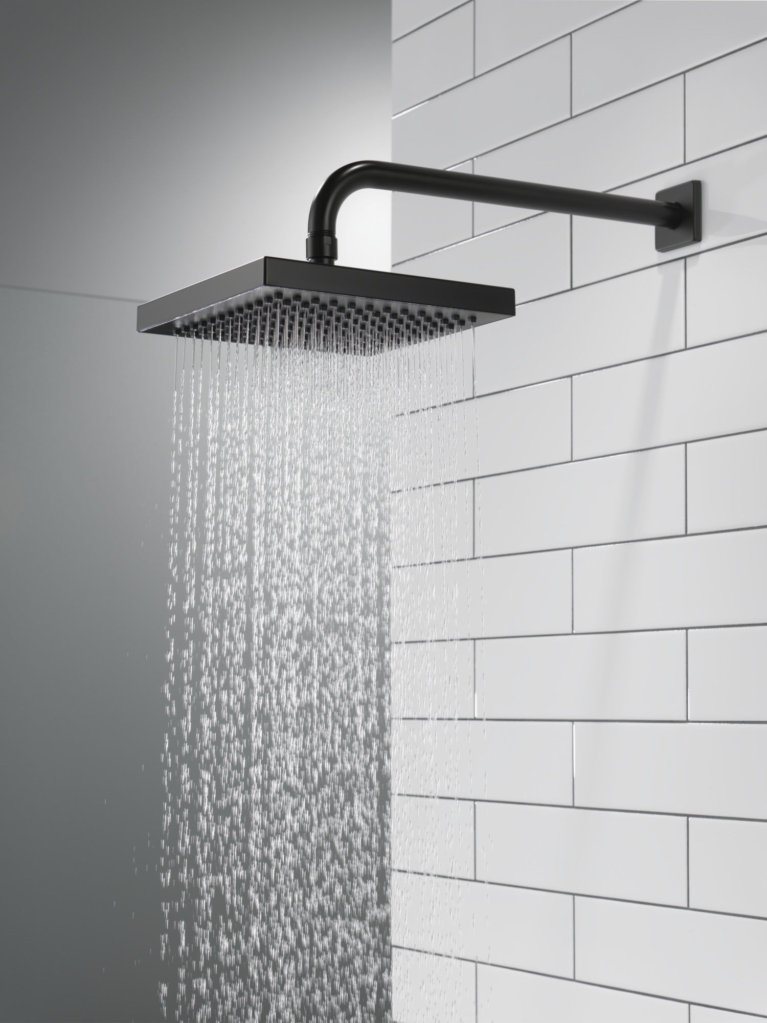 Delta Universal Showering Components Raincan Single-Setting Shower Head