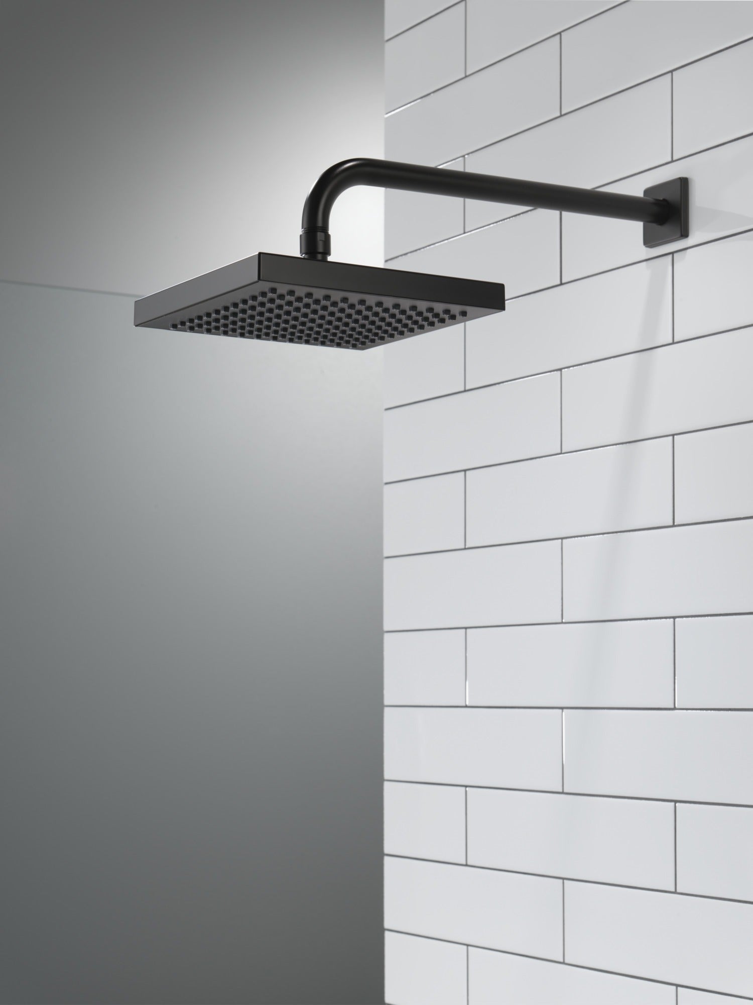 Delta Universal Showering Components Raincan Single-Setting Shower Head