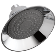 Peerless Other Shower Head - Raincan