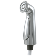 Delta Cassidy® Side Spray & Hose Assembly