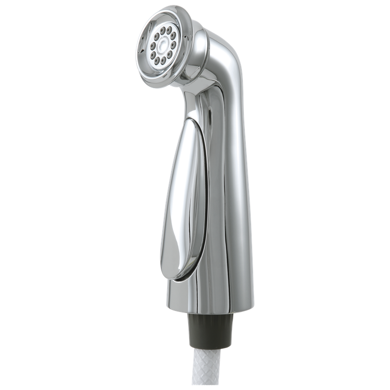 Delta Cassidy® Side Spray & Hose Assembly