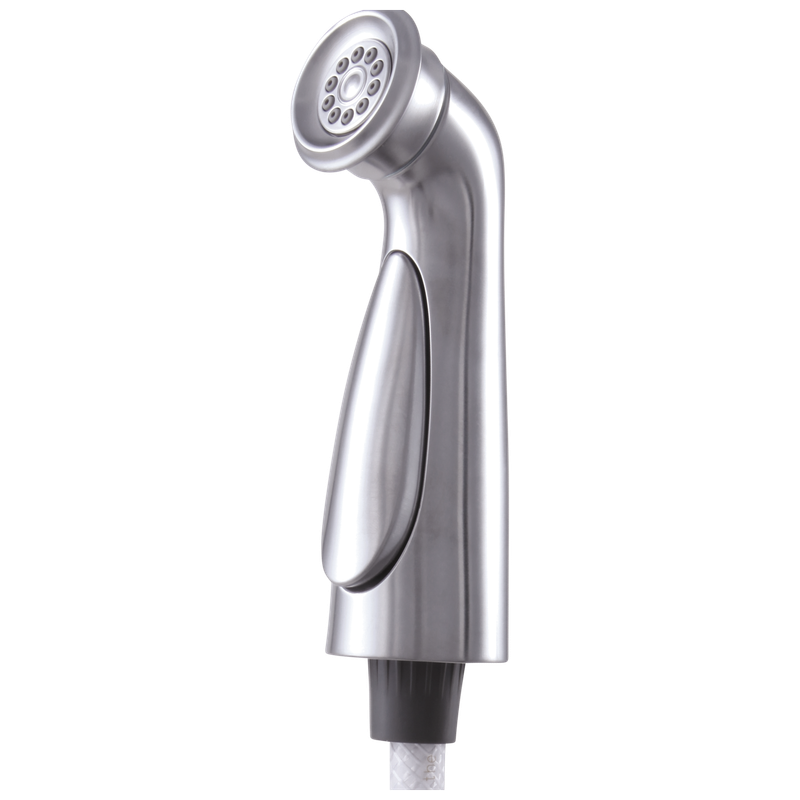 Delta Cassidy® Side Spray & Hose Assembly