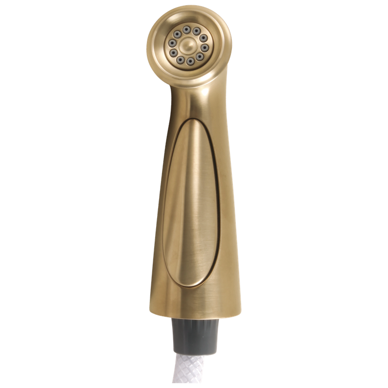 Delta Cassidy® Side Spray & Hose Assembly