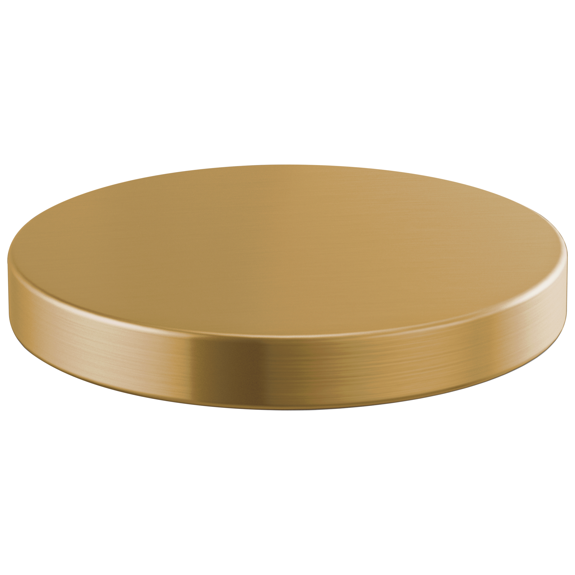 Brizo Litze® Hole Cover