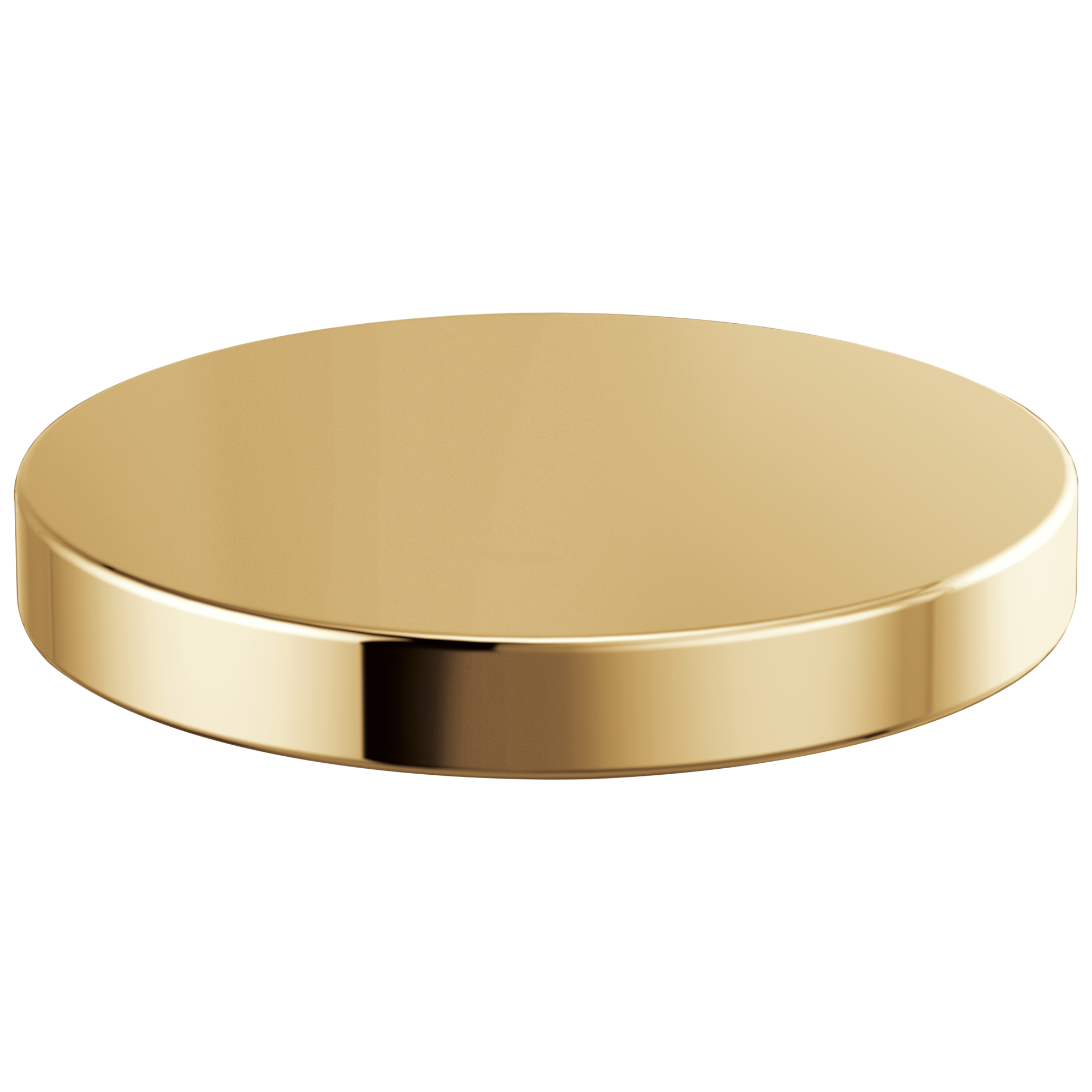 Brizo Rook® Hole Cover
