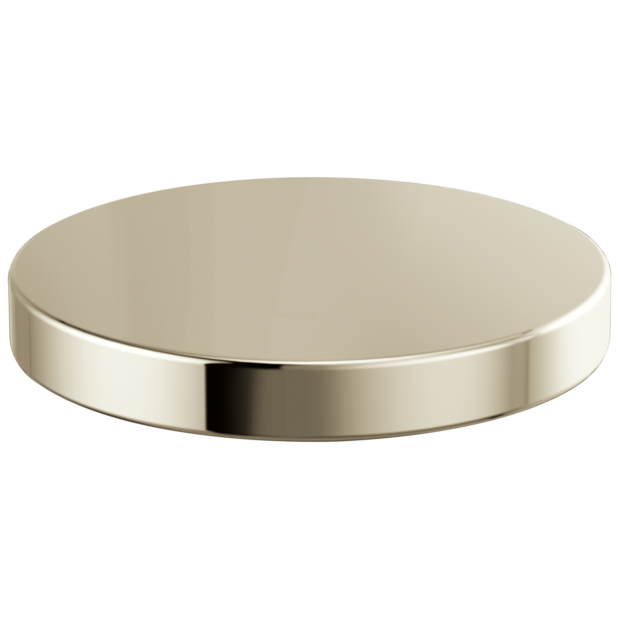Brizo Litze® Hole Cover