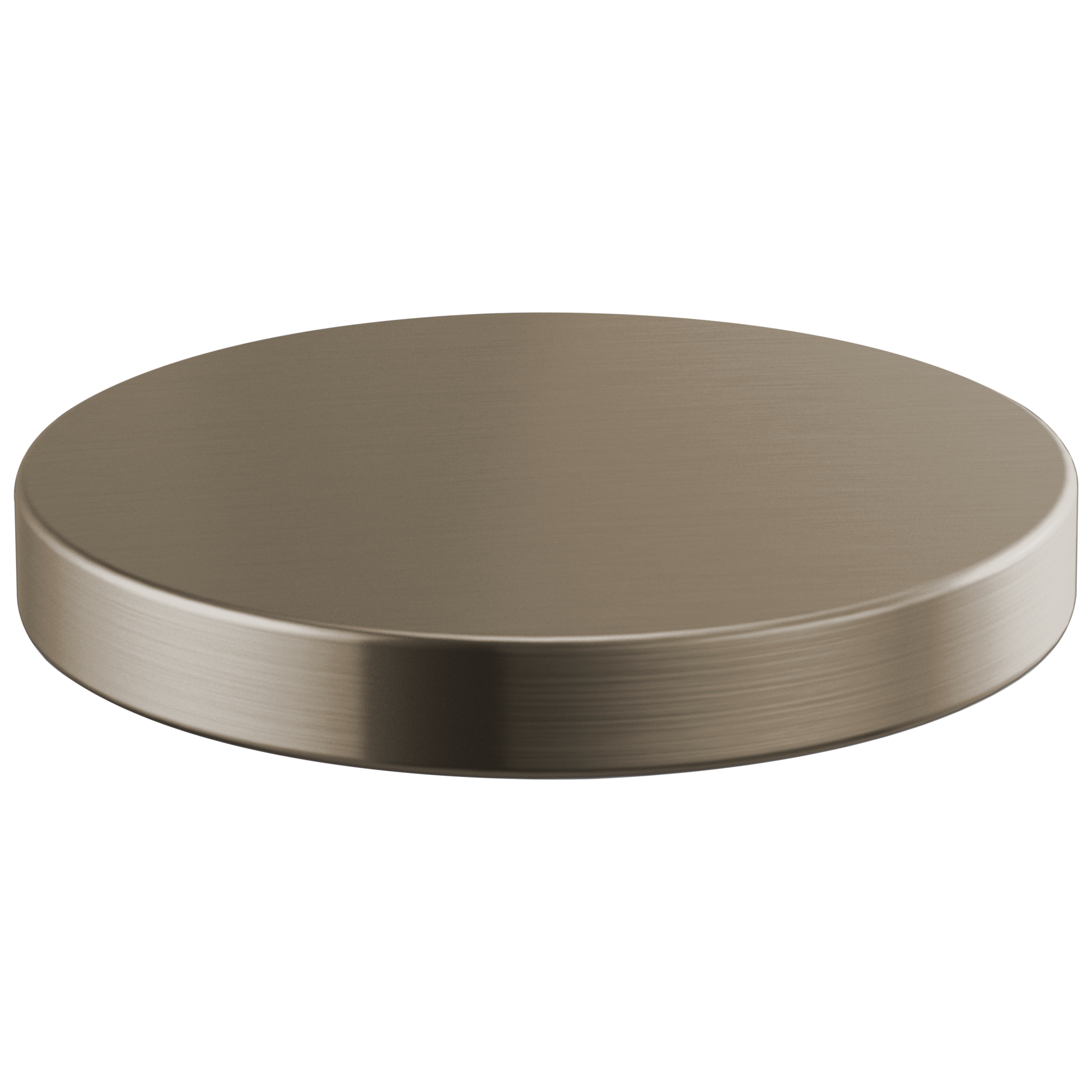 Brizo Litze® Hole Cover