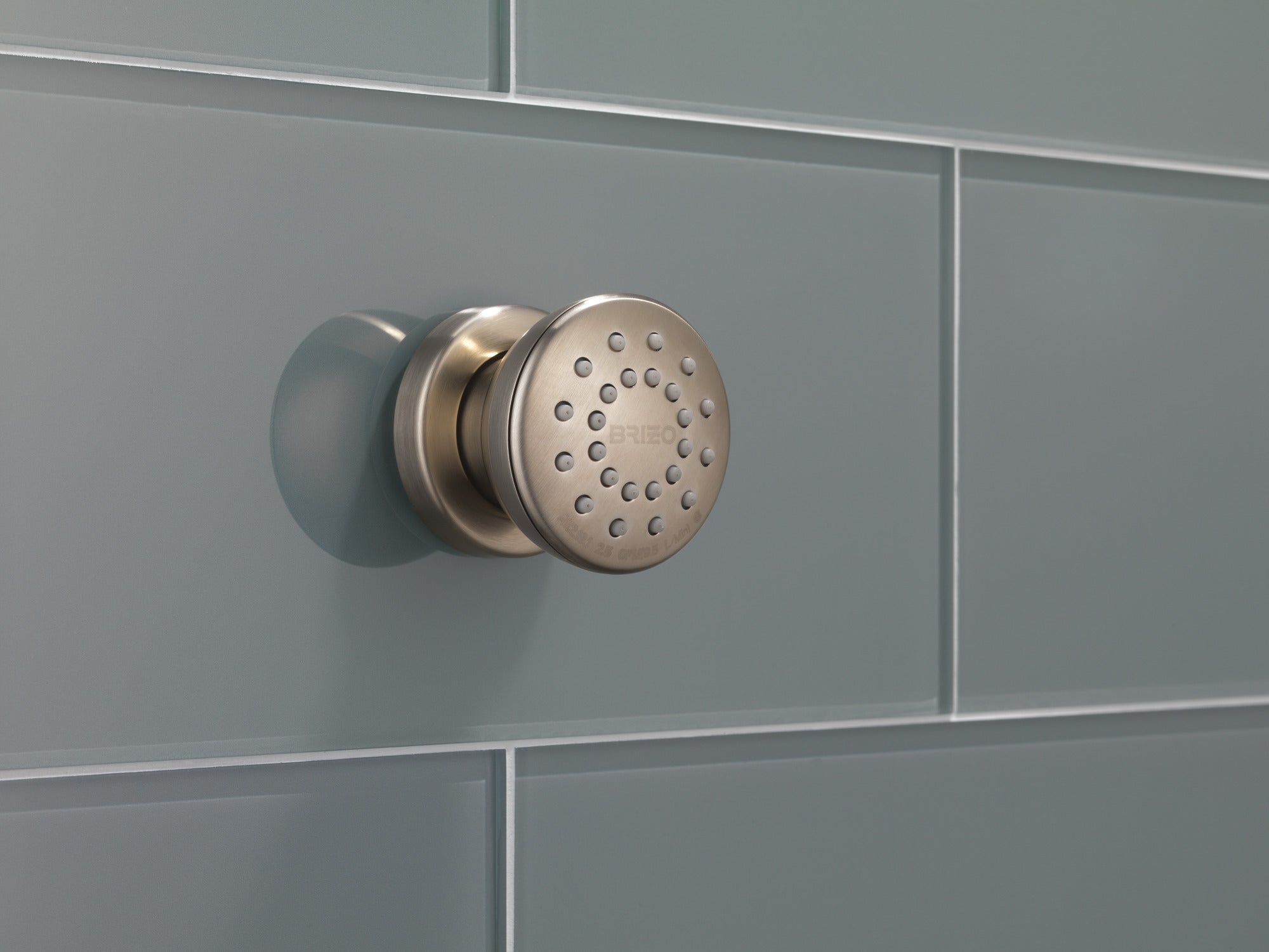 Brizo Essential™ Shower Touch-Clean® Round Body Spray